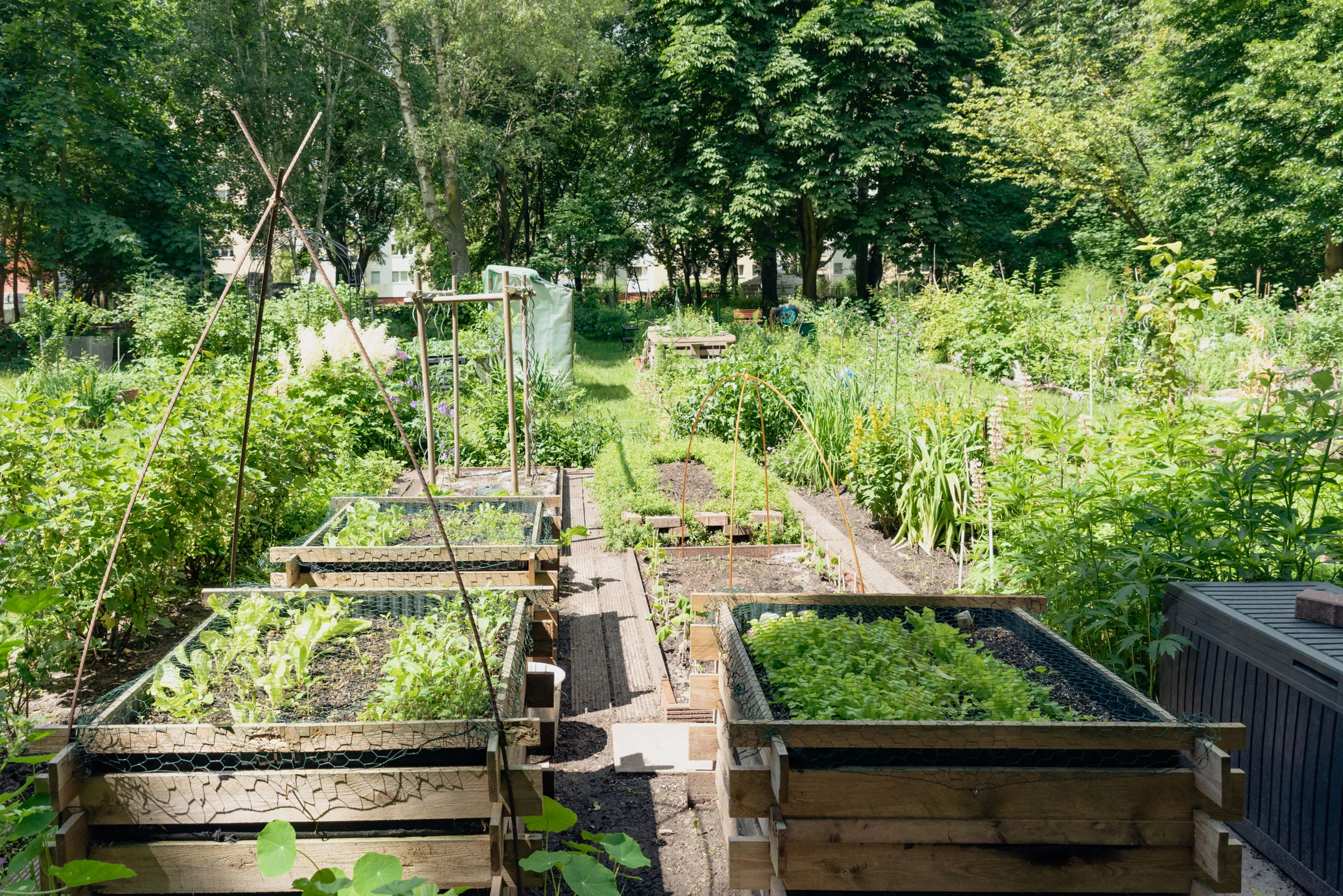Interkultureller Garten – Bild 5