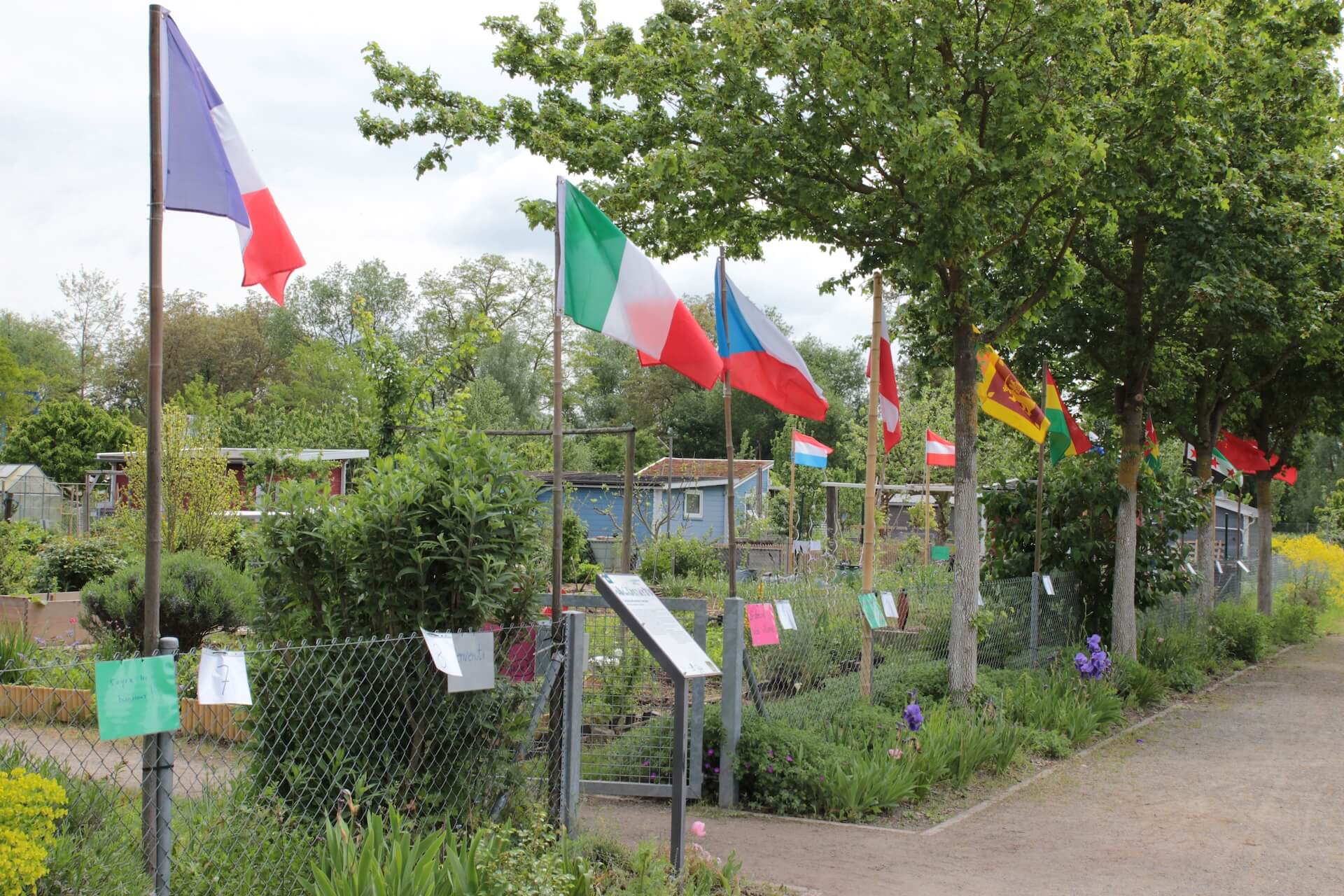 Interkultureller Garten – Bild 6