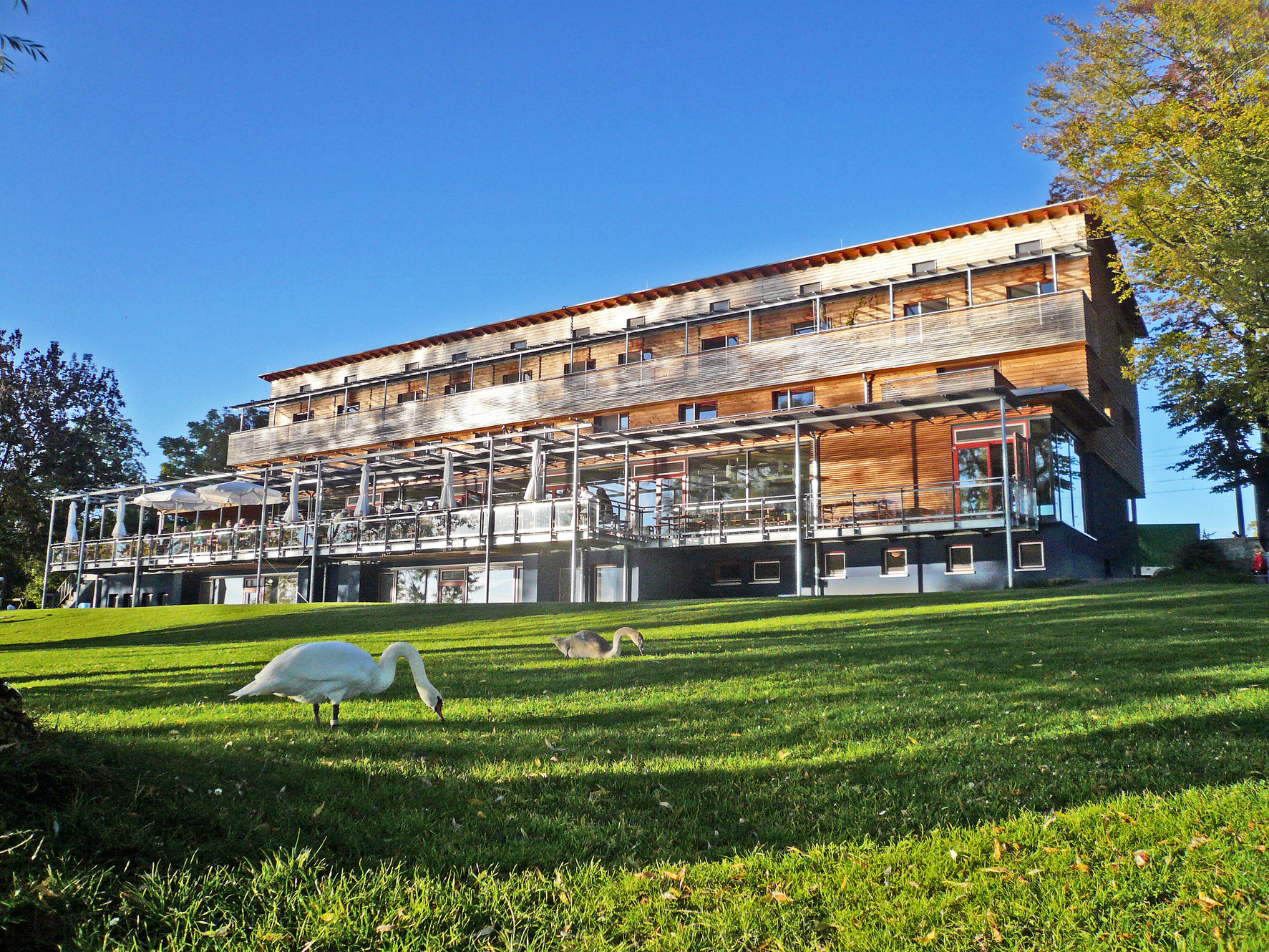 Die Bodensee Freunde (Ferienprogramm) – Bild 3