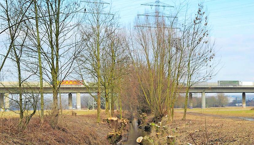 Lehmgrube – Bild 2