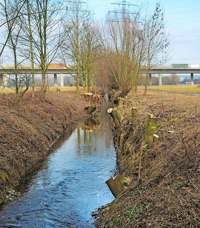 Lehmgrube – Bild 4