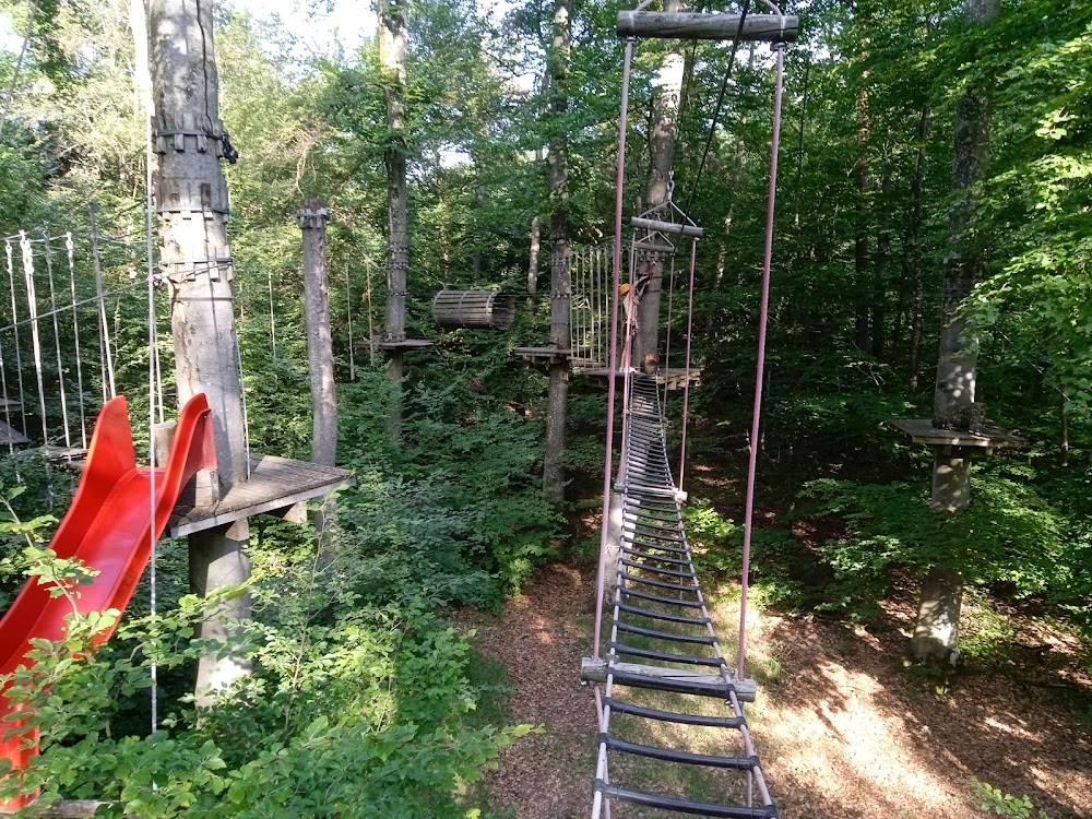 Waldseilgarten Herrenberg – Bild 1