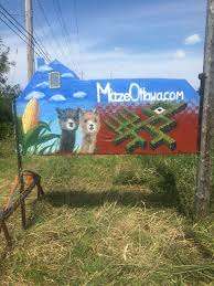 Maple Hill Urban Farm – Bild 1