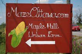 Maple Hill Urban Farm – Bild 2