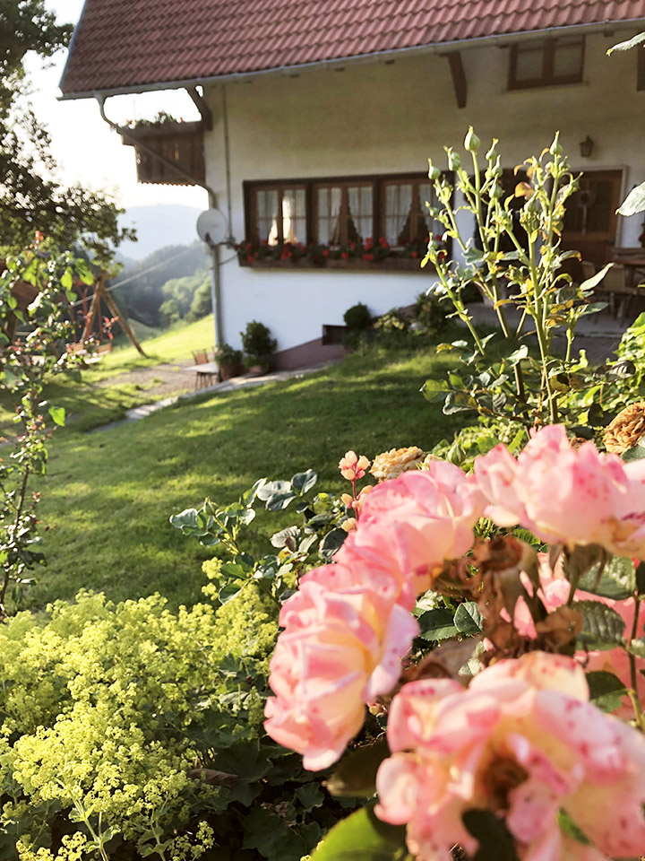 Jungbauernhof - Urlaub auf dem Bauernhof – Bild 2