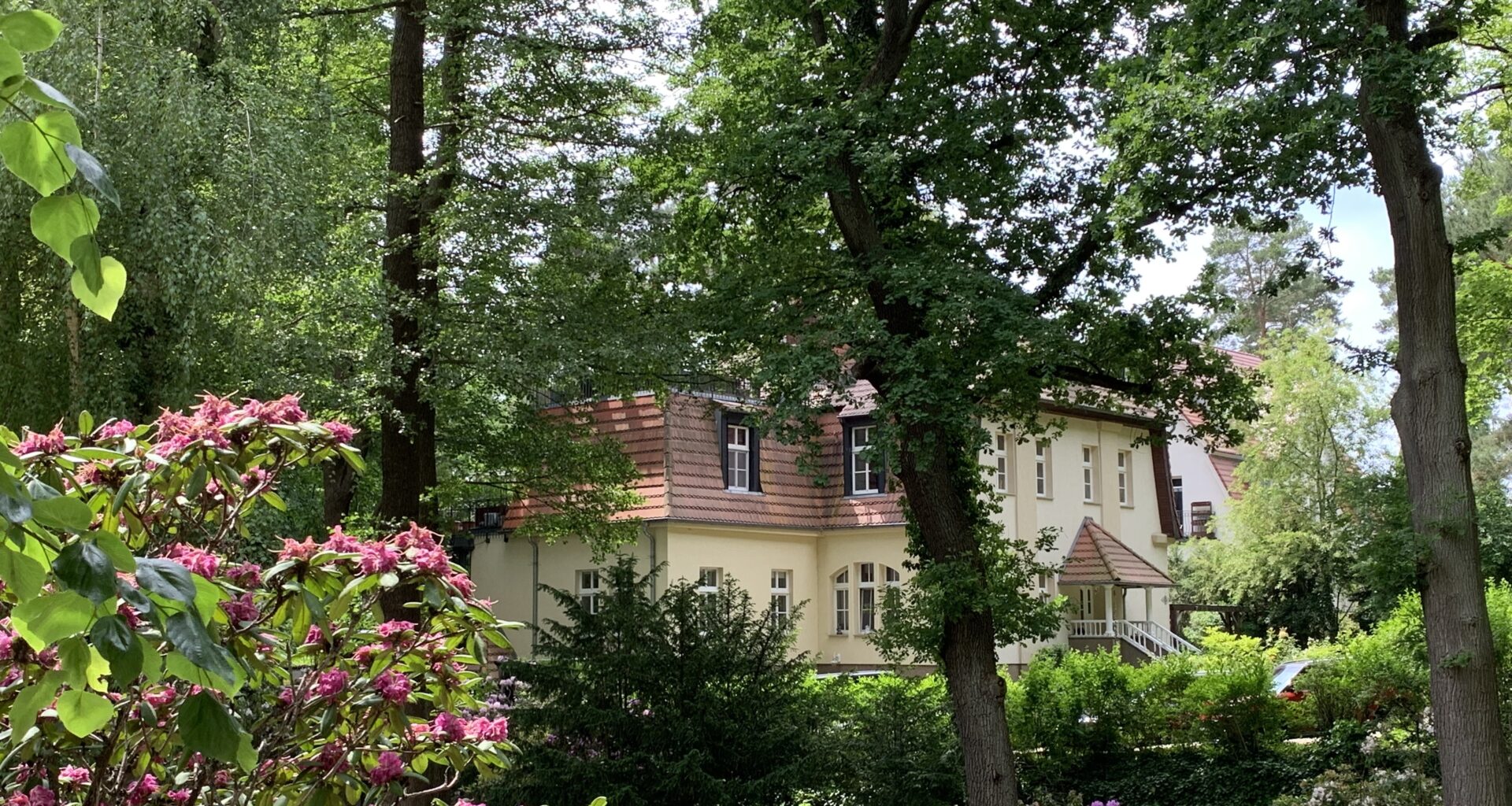 Märchenwald Bad Saarow Pieskow – Bild 1