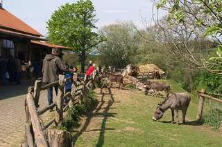 Natur-Erlebniszentrum Gut Herbigshagen – Bild 4
