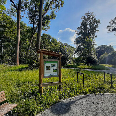 Hammerpark – Bild 4