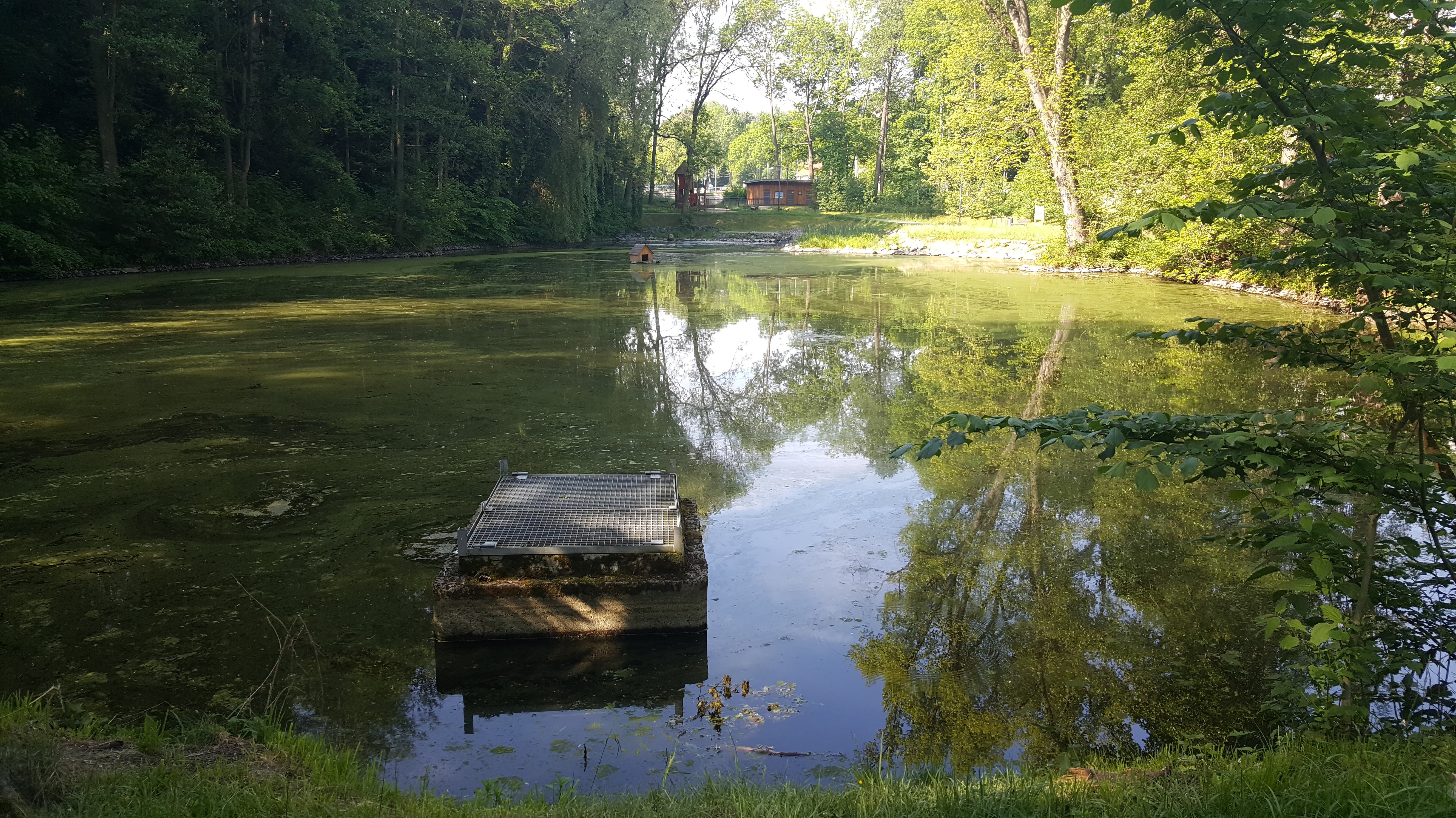 Hammerpark – Bild 6