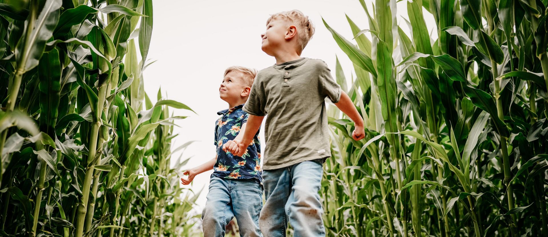 CORNYS MAISLABYRINTH – Bild 6