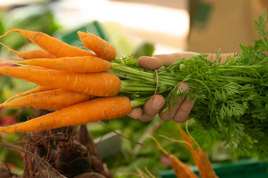 Biohof Schwehr – Bild 4