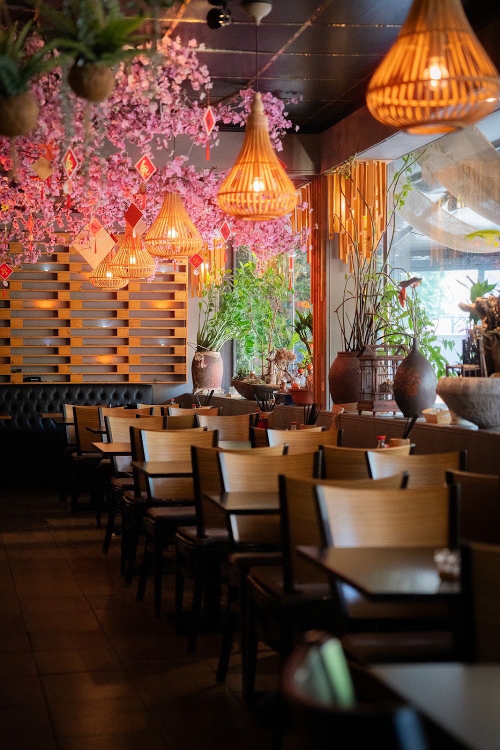 Restaurant Dardania – Bild 3