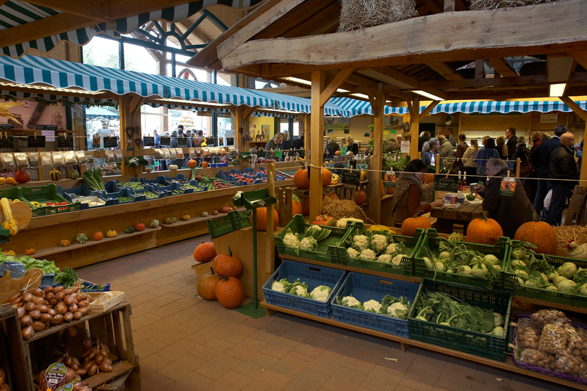 Buchholz-Hof – Bild 6