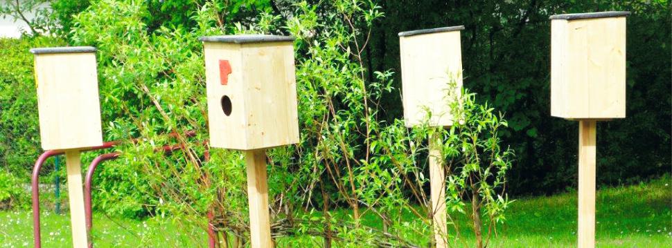 Freizeitzentrum Pößneck – Bild 4