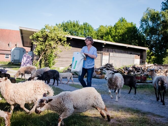 Hof Tieskötter – Bild 3