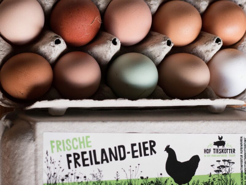 Hof Tieskötter – Bild 4