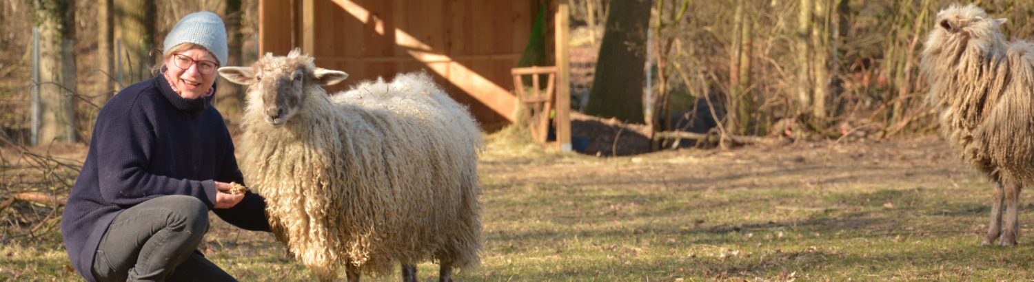 Hof Tieskötter – Bild 5