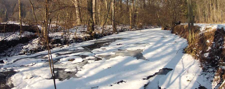 Waldgaststätte Goldersbachklause – Bild 4