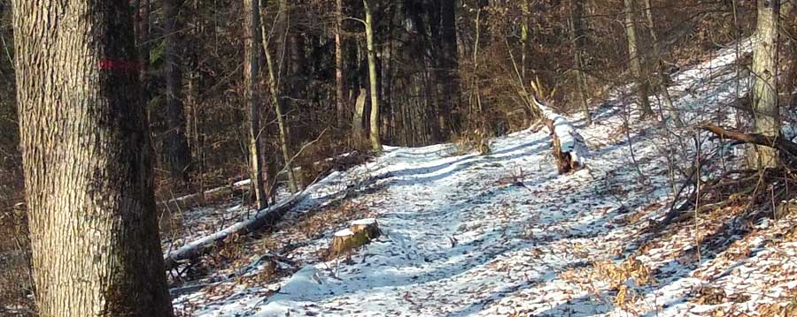Waldgaststätte Goldersbachklause – Bild 6