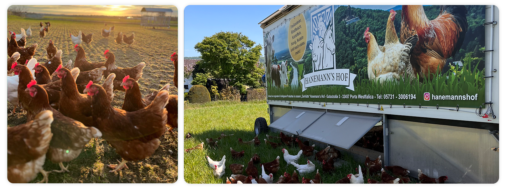 Hanemann's Hof – Bild 3