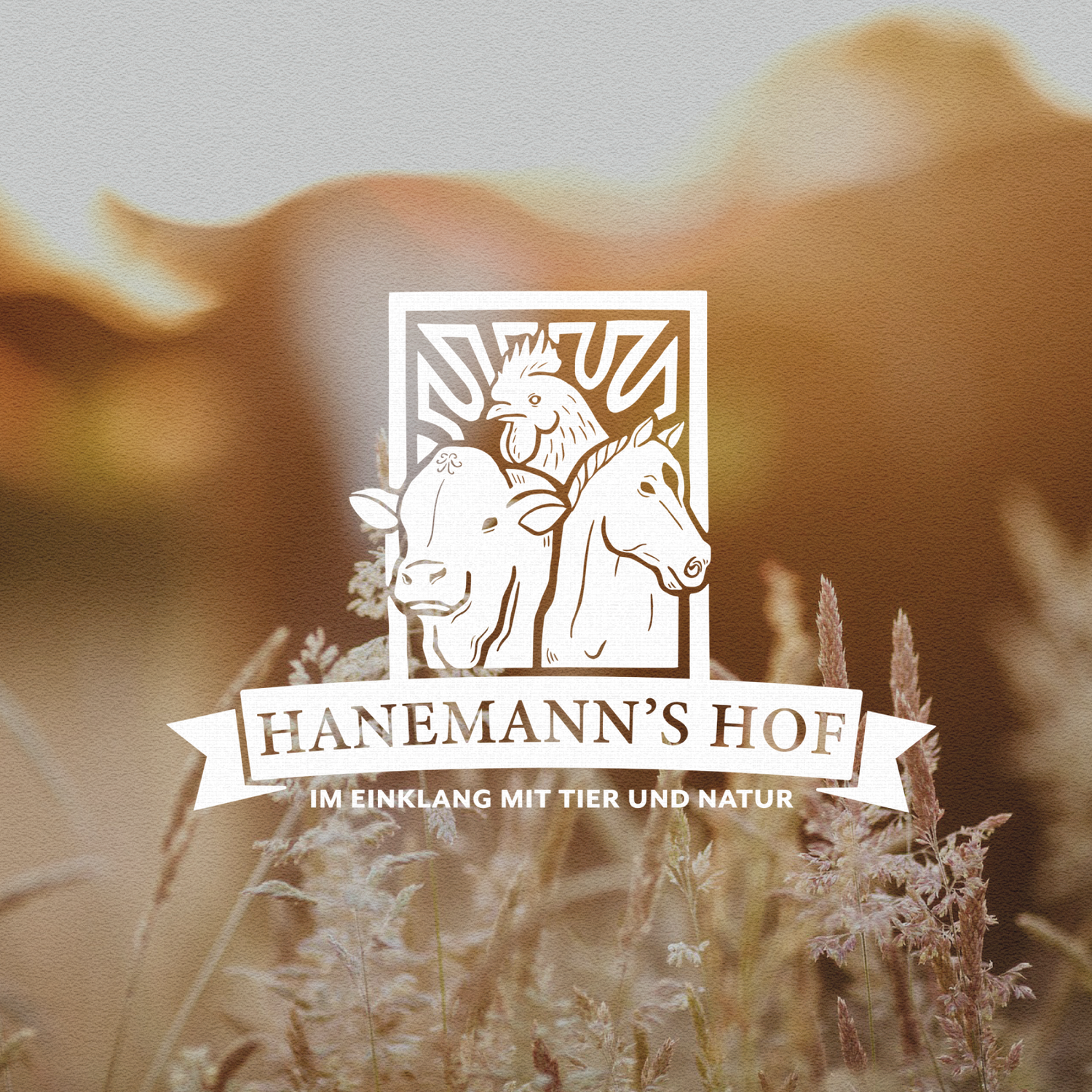 Hanemann's Hof – Bild 5