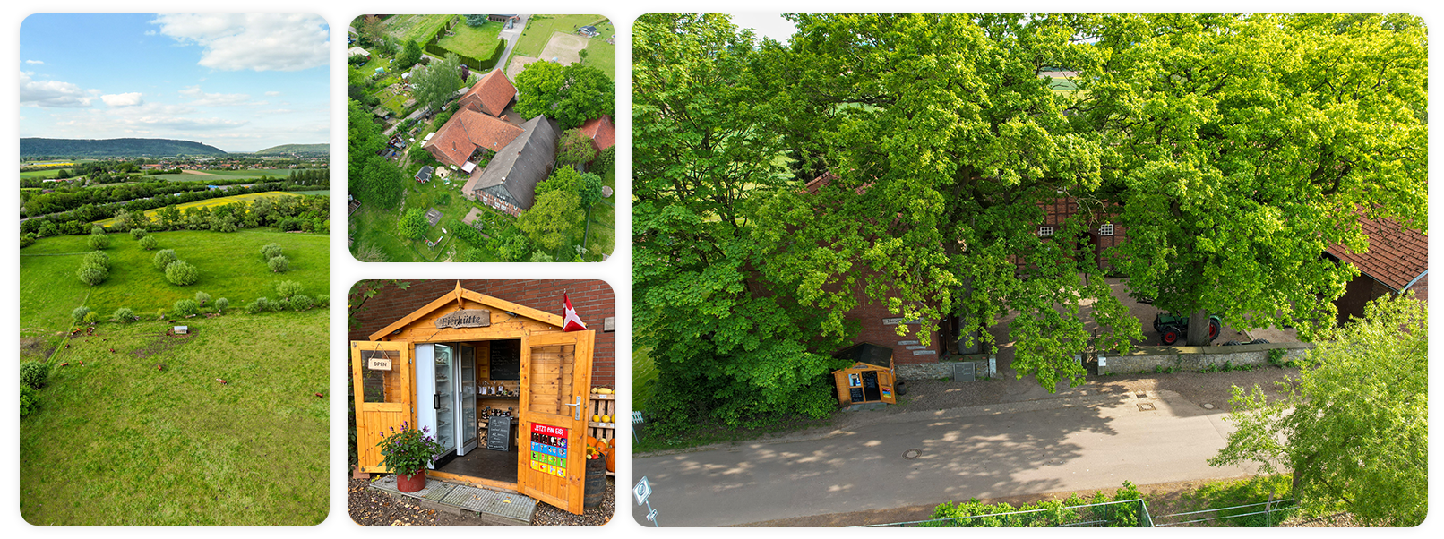 Hanemann's Hof – Bild 6