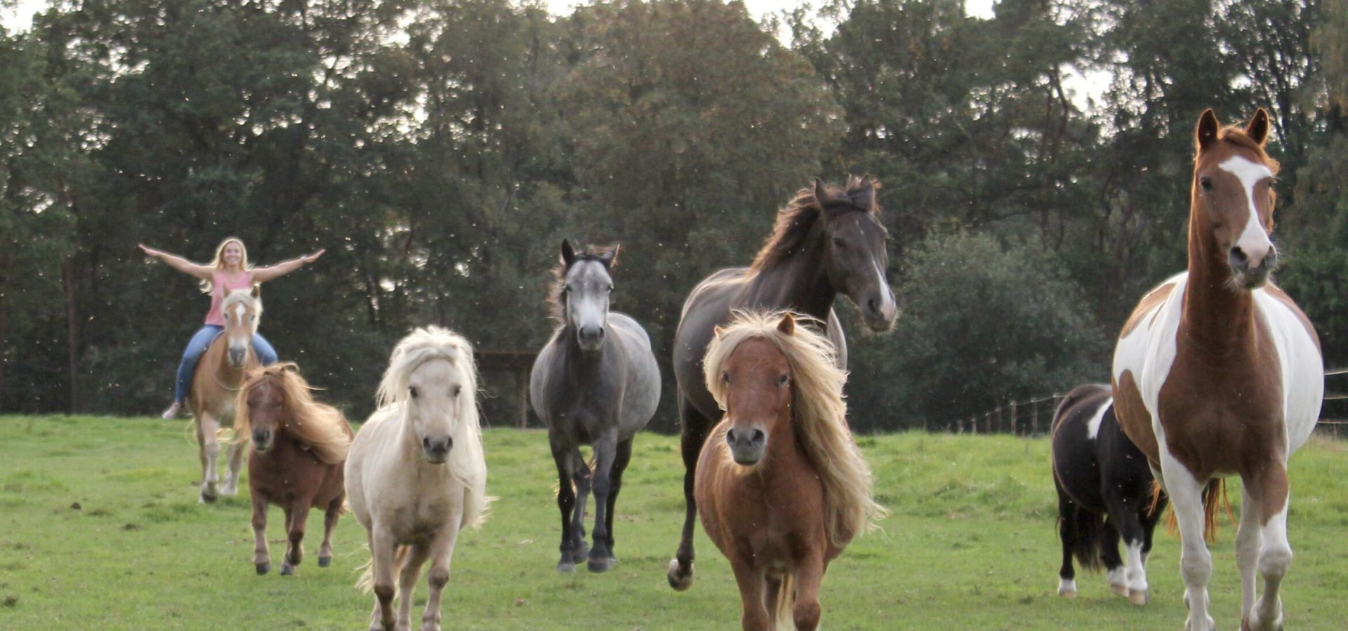 Janinas Erlebnishof – Bild 3