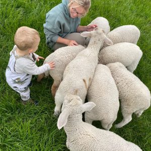 Janinas Erlebnishof – Bild 4