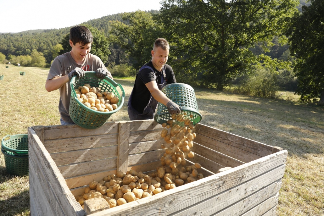 Lebenshilfe Bad Dürkheim: Kleinsägmühlerhof – Bild 2