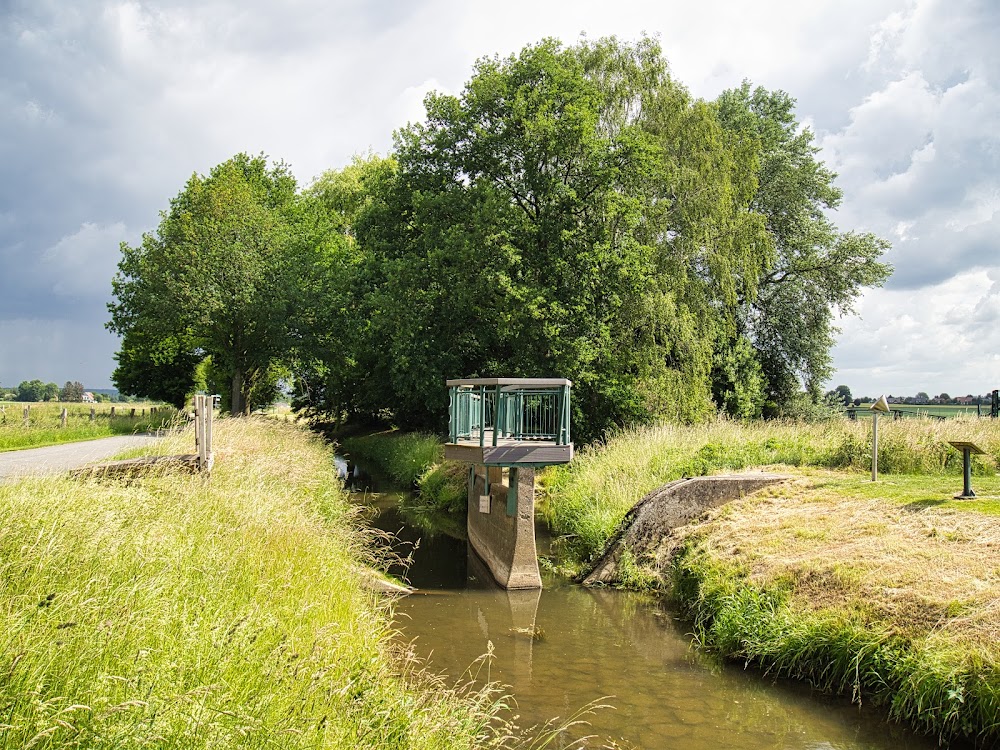 Minigolf im Grönenbergpark – Bild 5