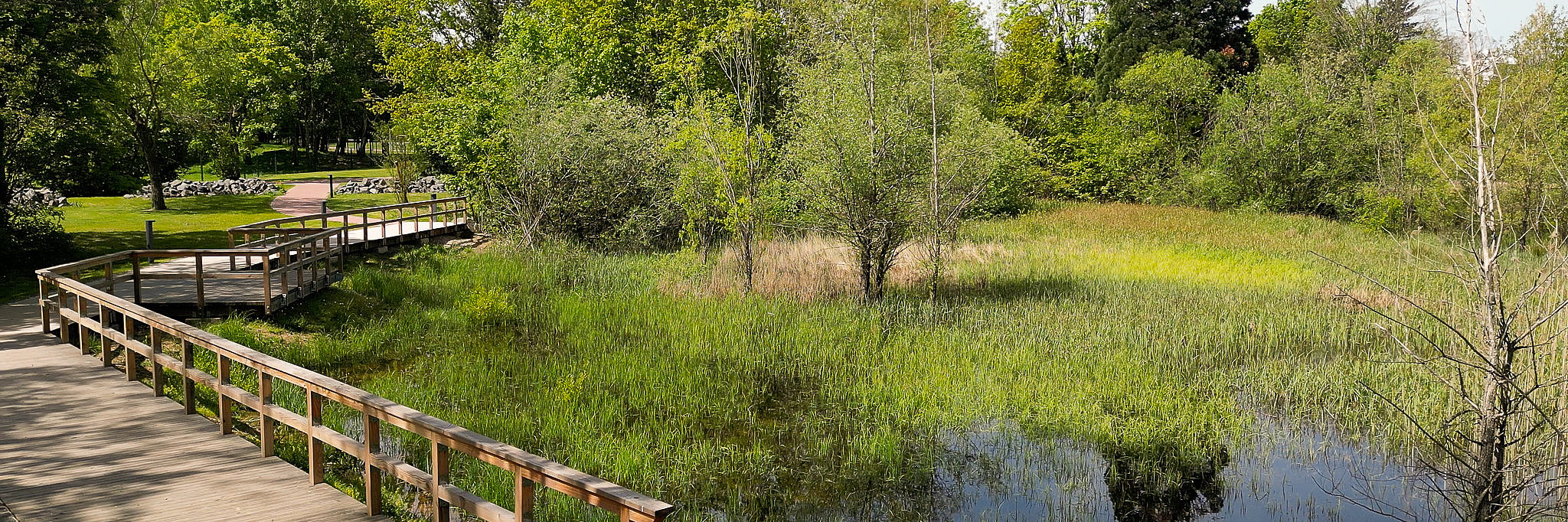 Kurpark Bernkastel-Kues – Bild 6