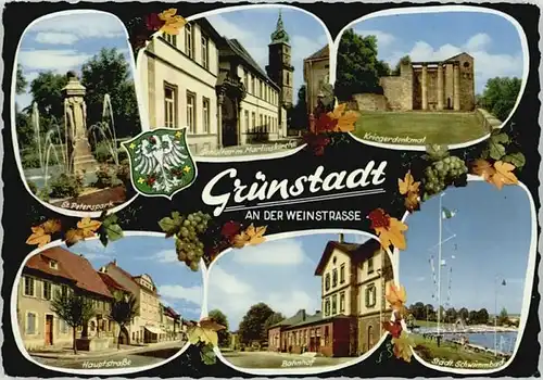 Peterspark – Bild 2