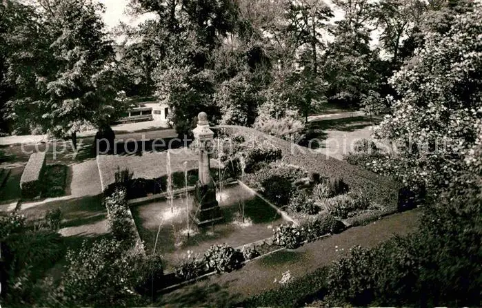 Peterspark – Bild 3