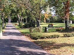 Peterspark – Bild 4