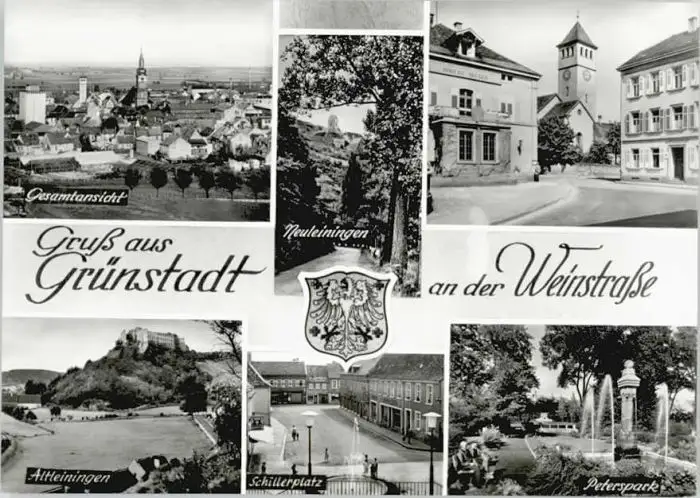 Peterspark – Bild 5