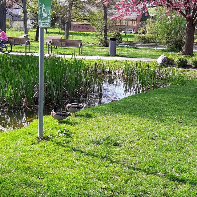 Künzeller Park / Grezzbachpark – Bild 4