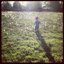 Central Park – Bild 3