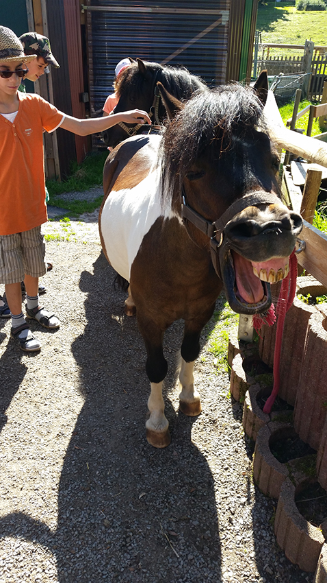 Conchita Ranch – Bild 5