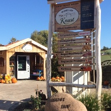 Müritz-Hof Knust – Bild 4