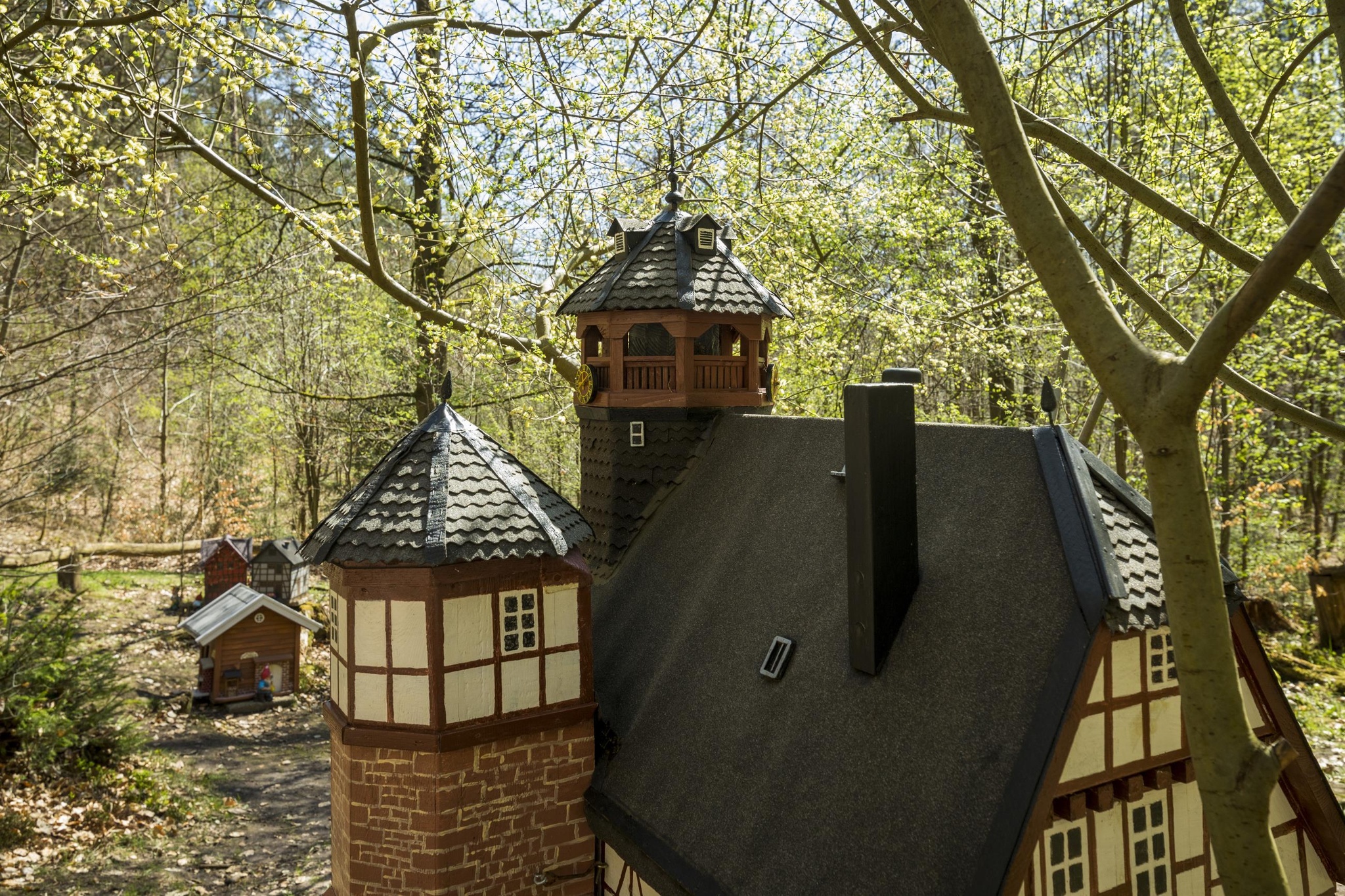 Märchenwald – Bild 3