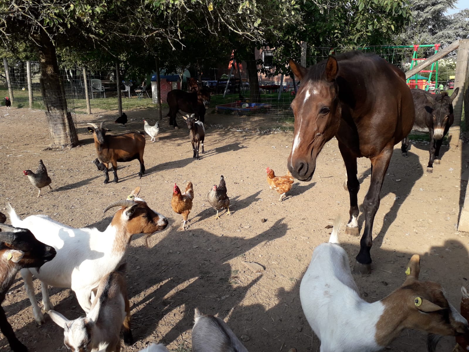 Birkenhof Euskirchen – Bild 3