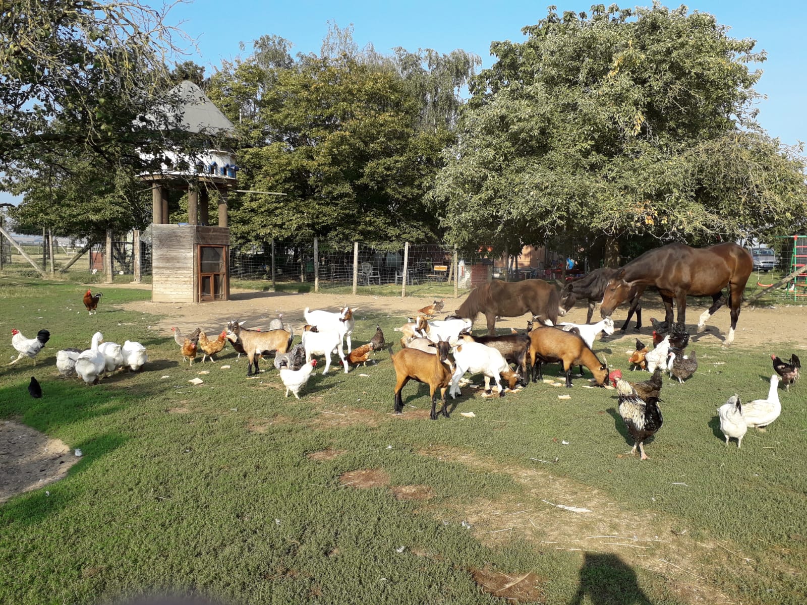 Birkenhof Euskirchen – Bild 4