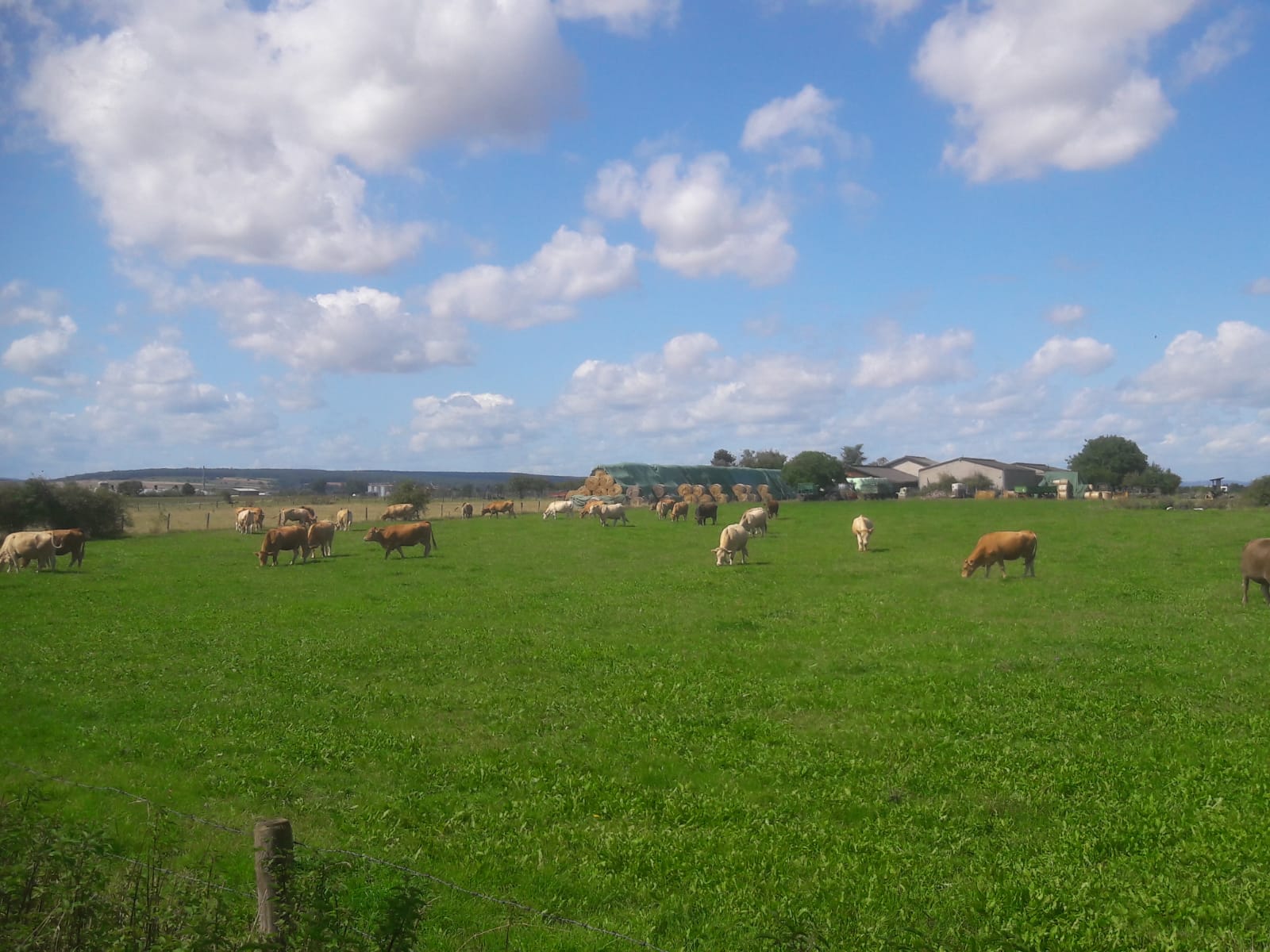 Birkenhof Euskirchen – Bild 5