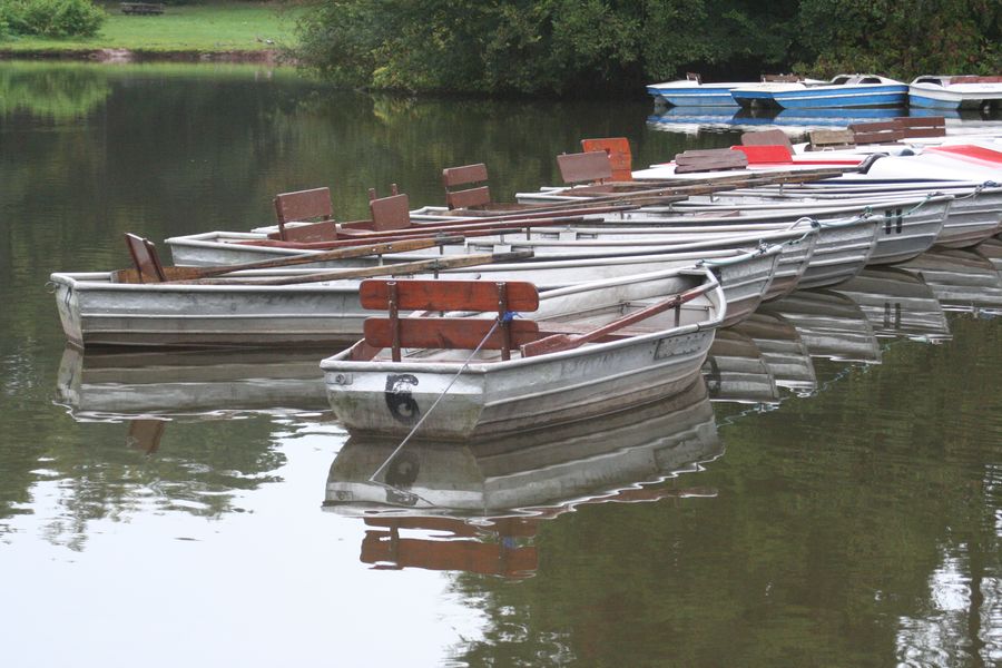 Bootsverleih & Minigolf am Oberwaldhaus Darmstadt – Bild 3