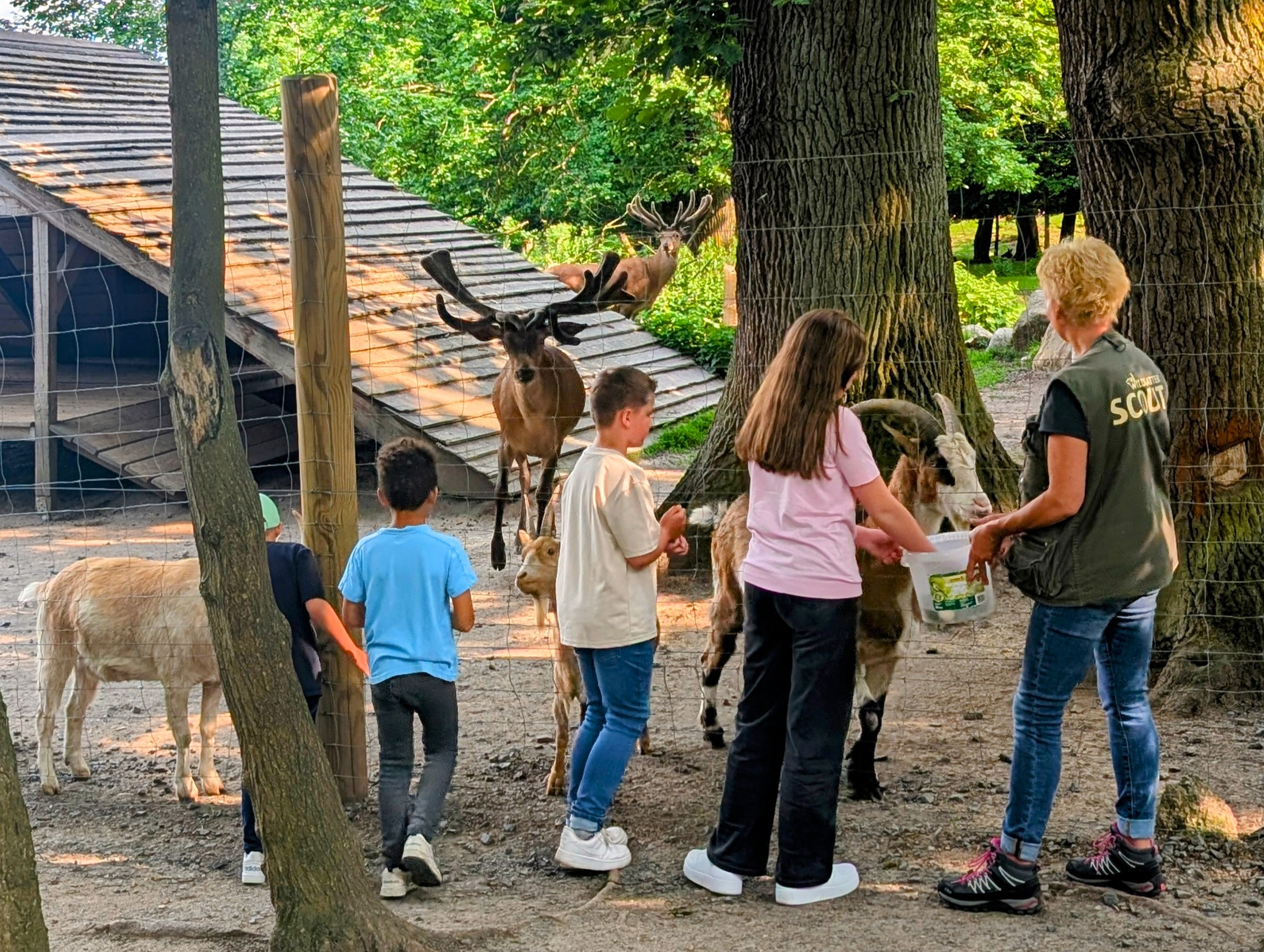 Wildgatter Hildesheim – Bild 3