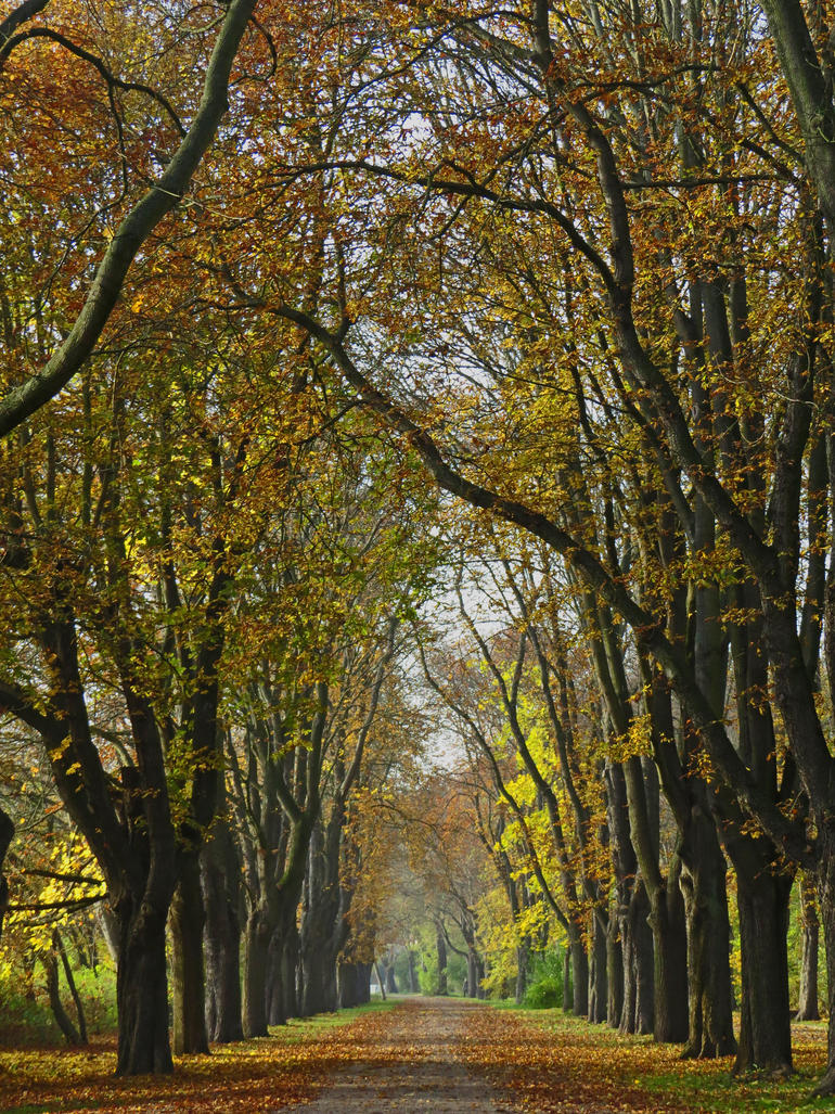 Heimattierpark Wiesenpark Oschersleben – Bild 1