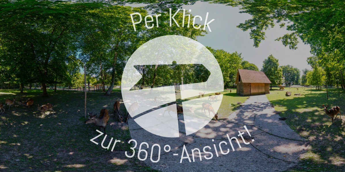 Heimattierpark Wiesenpark Oschersleben – Bild 5