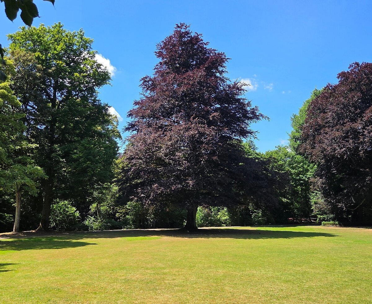 Wuppermannpark – Bild 2