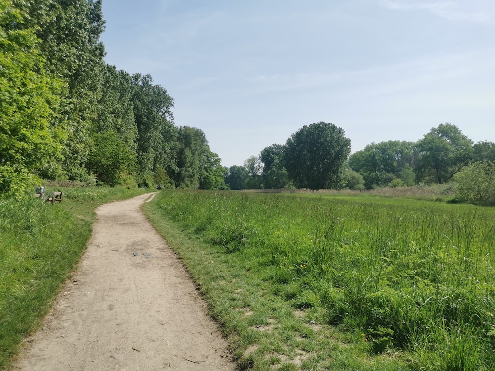 Rheinufer Ingelheim Picknickplatz – Bild 1