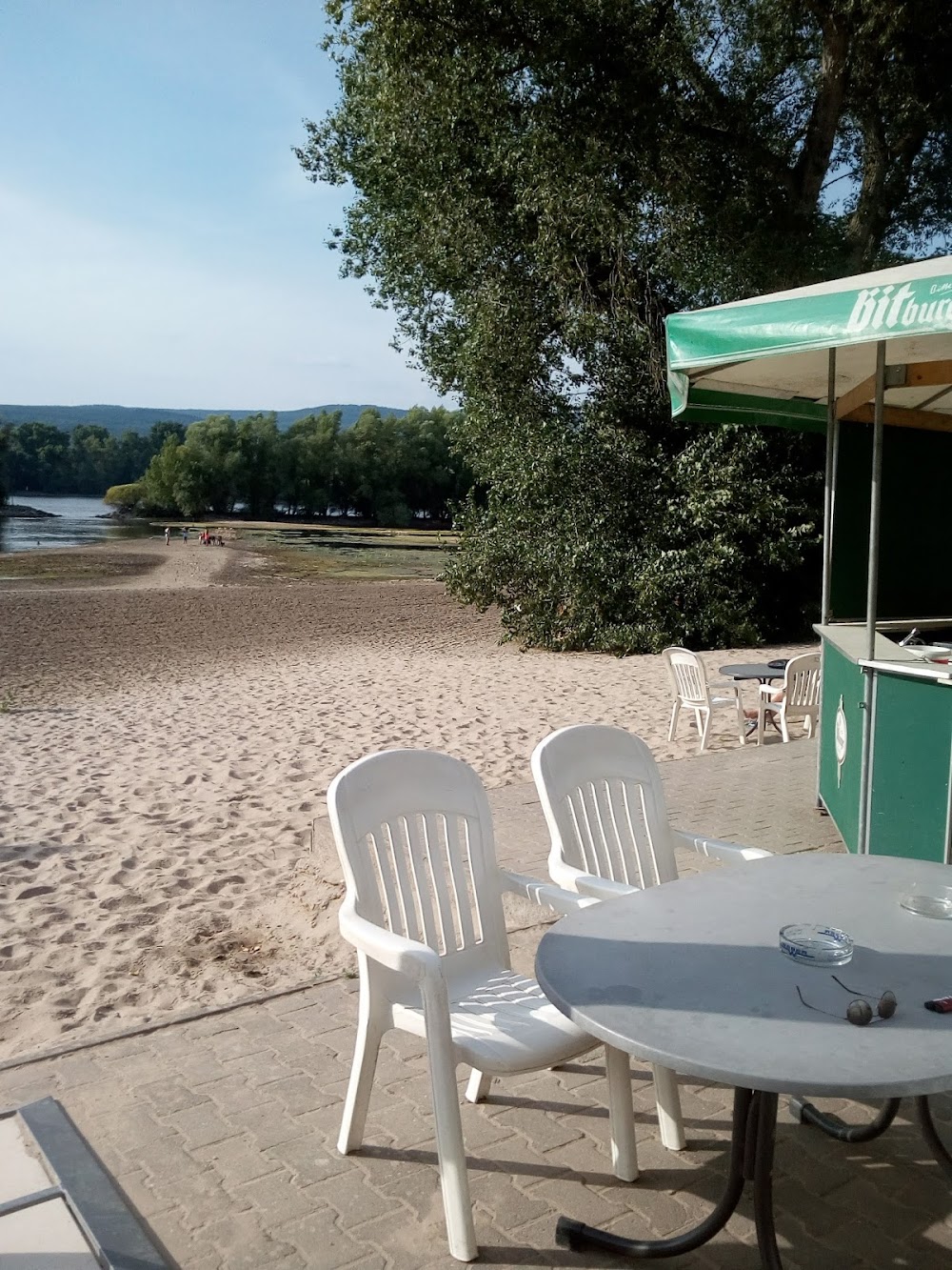 Rheinufer Ingelheim Picknickplatz – Bild 5